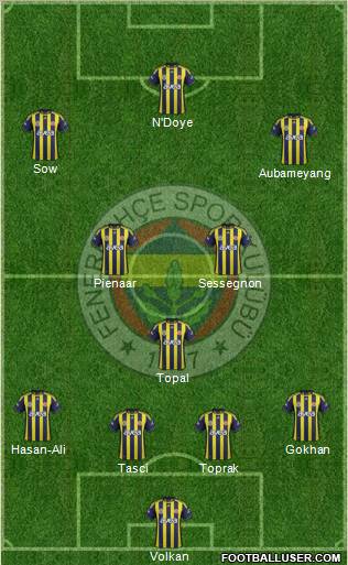 Fenerbahçe SK Formation 2012
