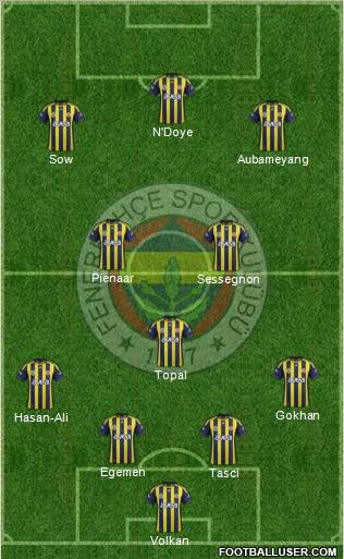 Fenerbahçe SK Formation 2012