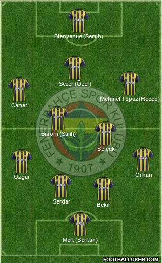 Fenerbahçe SK Formation 2012