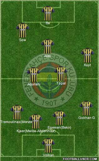 Fenerbahçe SK Formation 2012