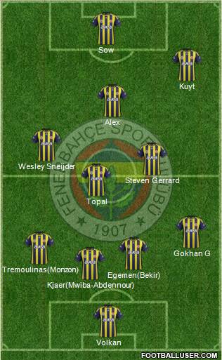 Fenerbahçe SK Formation 2012