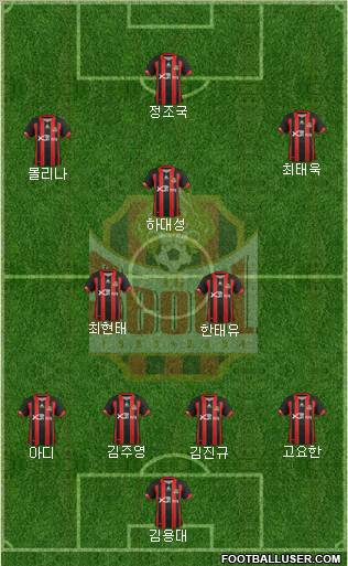 FC Seoul Formation 2012
