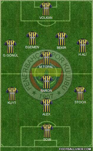 Fenerbahçe SK Formation 2012