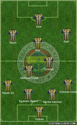 Fenerbahçe SK Formation 2012