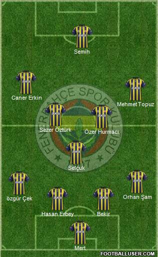 Fenerbahçe SK Formation 2012