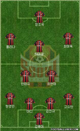 FC Seoul Formation 2012