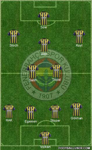 Fenerbahçe SK Formation 2012