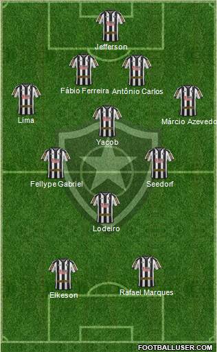 Botafogo FR Formation 2012