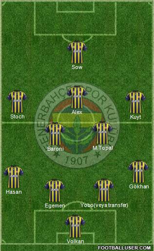 Fenerbahçe SK Formation 2012