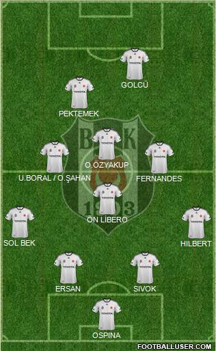 Besiktas JK Formation 2012