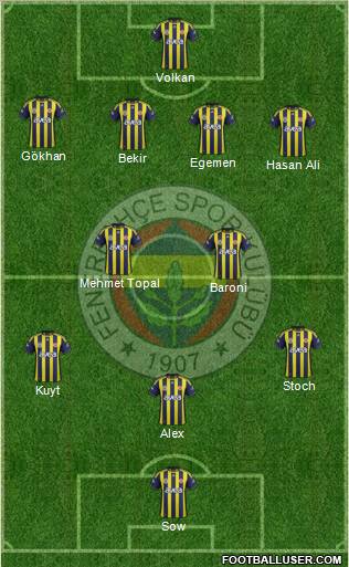 Fenerbahçe SK Formation 2012