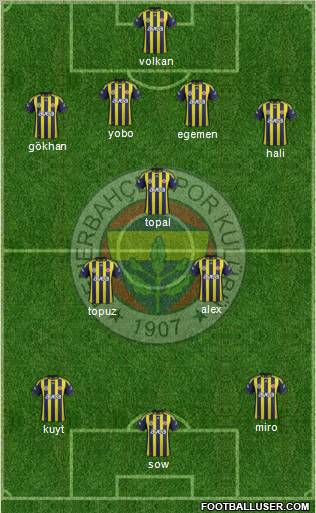 Fenerbahçe SK Formation 2012