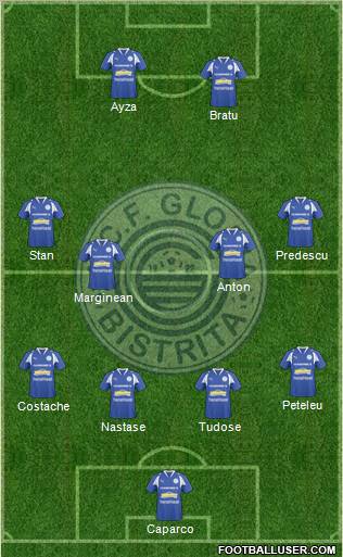 CF Gloria 1922 Bistrita Formation 2012