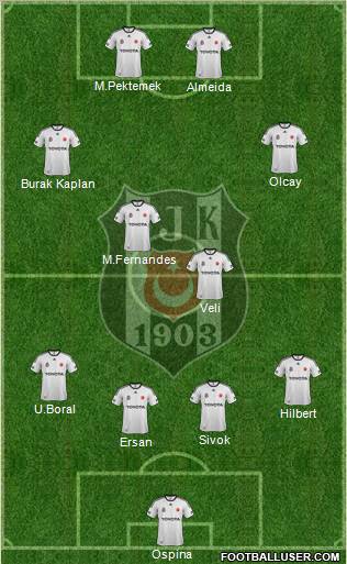 Besiktas JK Formation 2012