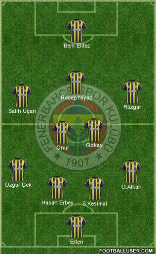 Fenerbahçe SK Formation 2012