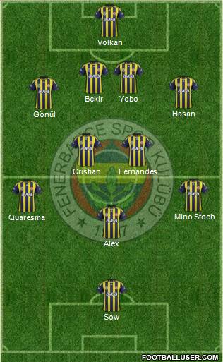Fenerbahçe SK Formation 2012
