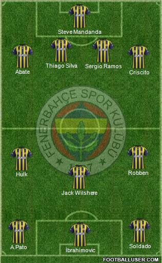 Fenerbahçe SK Formation 2012