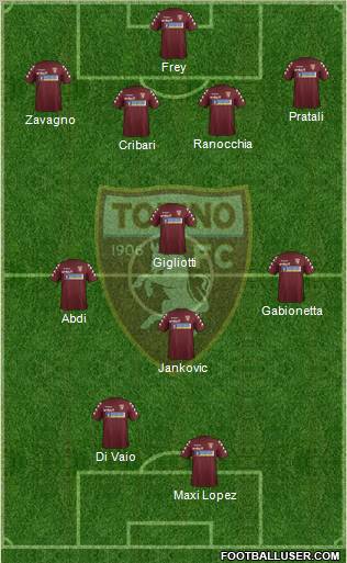 Torino Formation 2012