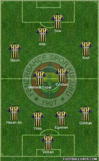 Fenerbahçe SK Formation 2012