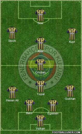 Fenerbahçe SK Formation 2012