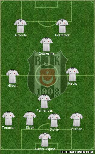 Besiktas JK Formation 2012