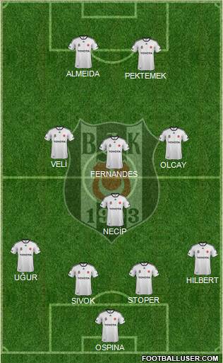 Besiktas JK Formation 2012