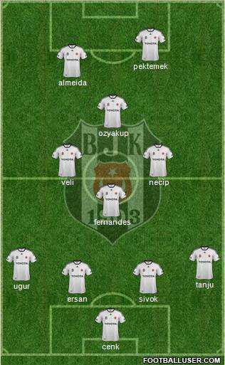 Besiktas JK Formation 2012
