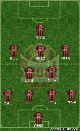 FC Seoul Formation 2012