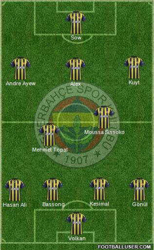 Fenerbahçe SK Formation 2012