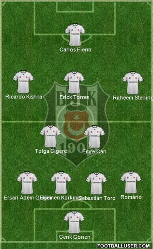 Besiktas JK Formation 2012