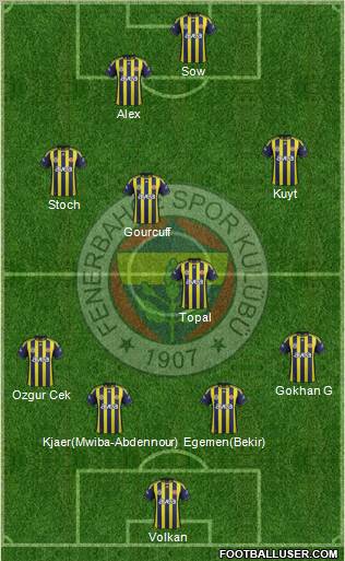 Fenerbahçe SK Formation 2012