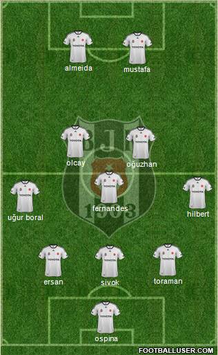 Besiktas JK Formation 2012