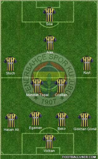 Fenerbahçe SK Formation 2012