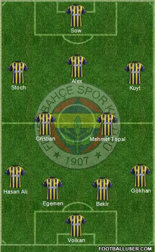 Fenerbahçe SK Formation 2012