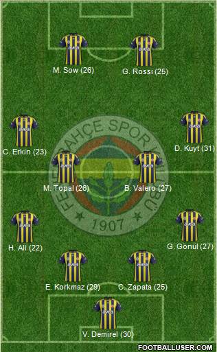 Fenerbahçe SK Formation 2012