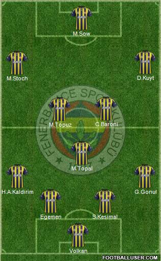 Fenerbahçe SK Formation 2012