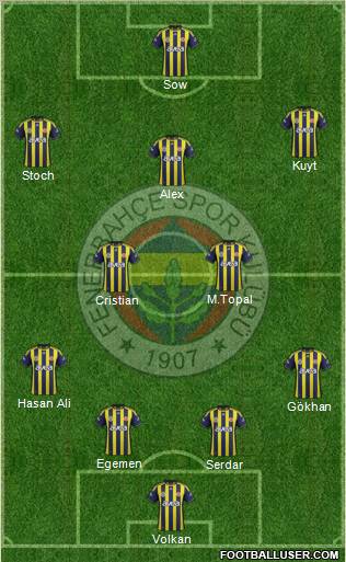 Fenerbahçe SK Formation 2012