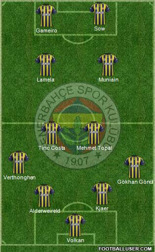 Fenerbahçe SK Formation 2012