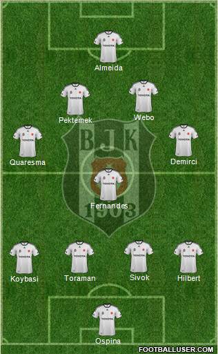 Besiktas JK Formation 2012