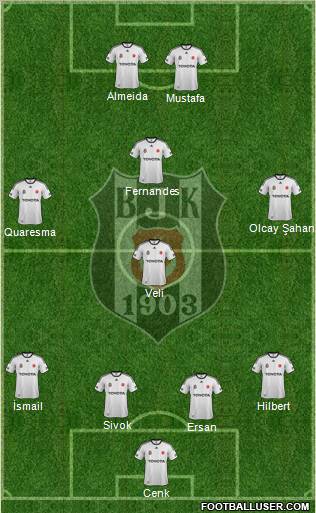 Besiktas JK Formation 2012