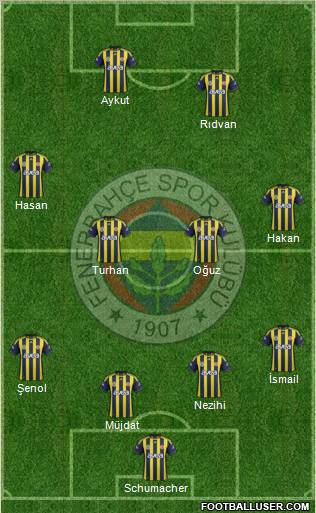 Fenerbahçe SK Formation 2012