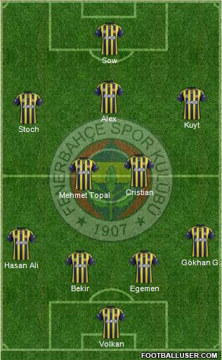 Fenerbahçe SK Formation 2012