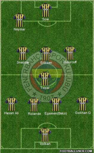 Fenerbahçe SK Formation 2012