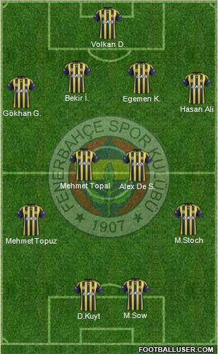Fenerbahçe SK Formation 2012