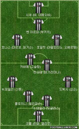 Newcastle United Formation 2012
