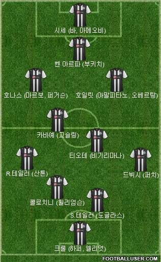 Newcastle United Formation 2012