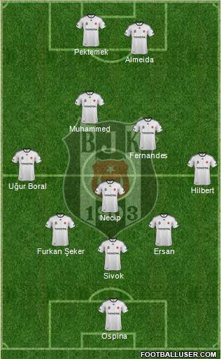 Besiktas JK Formation 2012