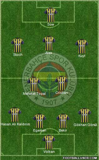 Fenerbahçe SK Formation 2012