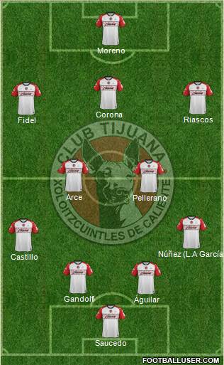 Xoloitzcuintles de Tijuana Formation 2012
