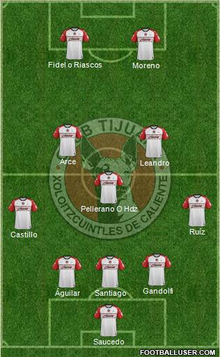 Xoloitzcuintles de Tijuana Formation 2012